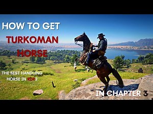 HOW TO GET THE DARK BAY TURKOMAN for Arthur Free | RDR2