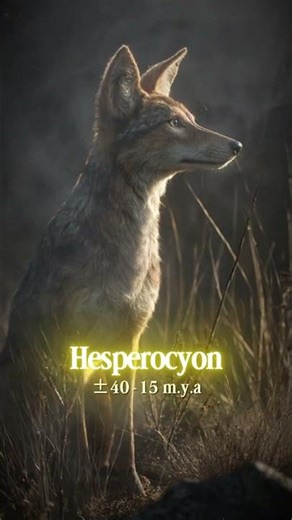 The Evolution of Dogs 🐕 From Ancient Reptile to Wolves