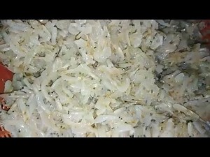 Paano gumawa ng bagoong alamang / How to make shrimp paste