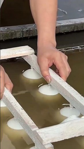 the process of dipping an object into a special liquid to produce the desired color#automobile