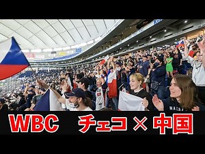 [WBC Report] The historic moment of the Czech National Baseball Team's first hit, first run, and ...