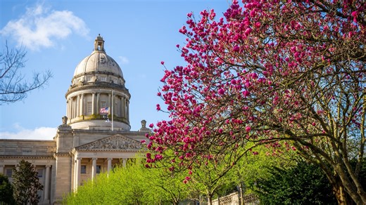 Donald Trump wins 2nd term in historic return to White House, ABC News projects