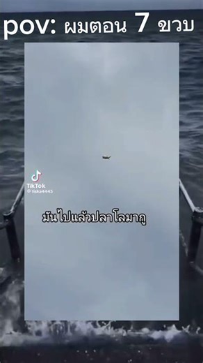 มันไปแล้วปลาโลมา gu