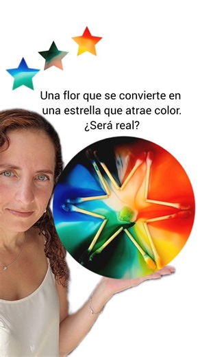 Una flor que se convierte en una estrella que atrae color. ¿Será real? Es completamente real !! Ciencia para niños. Necesitas : 6 hisopos de madera ( los consigues en el supermercado) Colorante vegetal líquido Un plato Agua Un gotero Algodón Jabón líquido para platos Pasos : Dobla los hisopos y colócalos en el plato en forma de flor como se muestra en el video. En la parte del algodón del hisopo vierte gotas de colorante. Con cuidado vierte con el gotero agua en el centro de la flor.( Yo vertí c