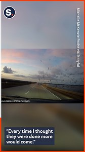 A Louisiana woman said she was “completely terrified” when a flock of birds swarmed her car on a bridge in the New Orleans area, just moments after her mom called to warn her. | storyful