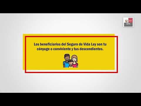 Registro Nacional Obligatorio de Contratos del Seguro Vida Ley