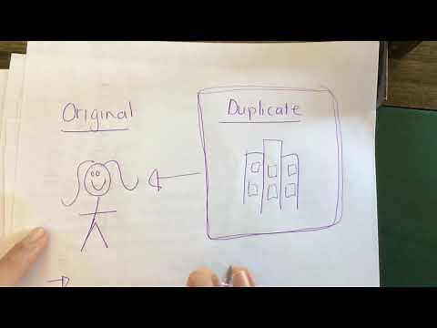 The Debtors Journal Grade 9