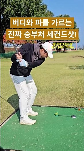 파크골프 잘 치는 법! 버디와 파를 가르는 승부처! 세컨드샷! #파크골프 #파크골프동영상 #파크골프스윙 #파크골프치는법