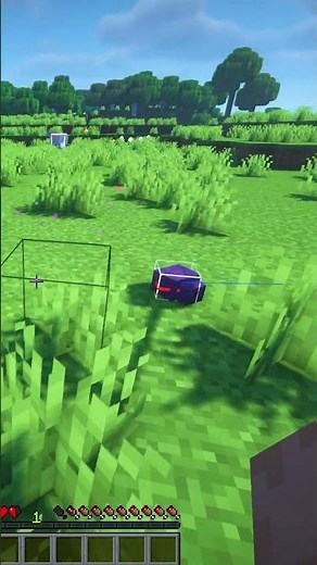 This Hidden Shortcut Shows Hitboxes 📦