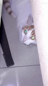 17 reactions · 7 comments | Les presentamos a RUBÍ DUQUE CASTRO (La...