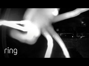 How Would You Deal With This Uninvited "Guest"? | RingTV