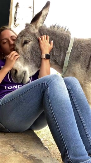 4.7K views · 398 reactions | The bond between a girl and her donkey is so special  #foryou #fyp #rescueisthebestbreed #foryourp #Donkey #DonkeyAdventures #DonkeyLove #DonkeyLife #DonkeyDreams #DonkeyMagic #DonkeyCompanion #DonkeyConnection | Donkey Whisperer | Facebook
