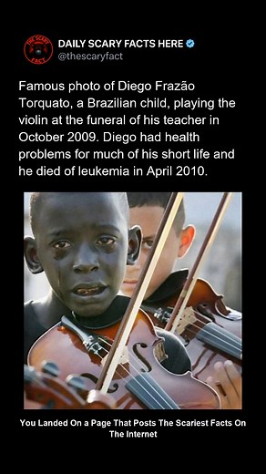 In October 2009, a heartbreaking photograph captured Diego Frazão Torquato, a frail Brazilian boy, playing the violin at his teacher’s funeral. His teacher had introduced him to music, giving him purpose during a childhood marked by illness and hardship. Diego’s performance—tears on his face, bow trembling in his hand—moved the entire nation. But Diego’s own battle was already underway. He spent much of his life fighting severe health issues, and in April 2010, just months after that iconic mome
