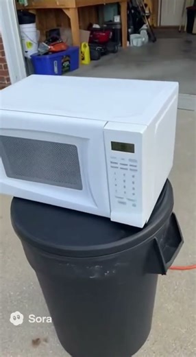 Egg in microwave challenge would it explode ? 🤯 💣 #comedymemes #viral #memes #comedyshorts #shorts