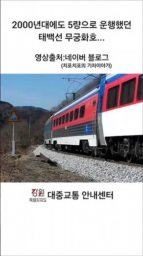 [4K] 2000년대에도 5량으로 운행했던 태백선 무궁화호...