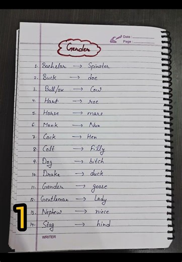 Most important 30 Genders || Masculine & Feminine || 👦 👧