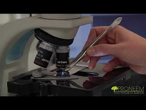 PRONEEM factory : Microcapsules manufacturing process