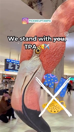 We stand with you, TPA. One classy ride at a time. 🫡✈️ pickmeuptampa.com
