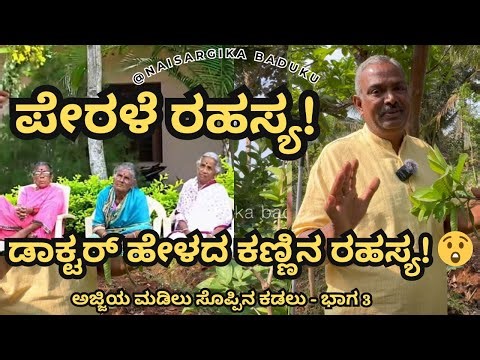 ಈ ಸೊಪ್ಪು ತಿಂದ್ರೆ ಆರೋಗ್ಯ ಗ್ಯಾರಂಟಿ!🌿 | Kannada Edible Plants |#guavabenefits ಭಾಗ 3