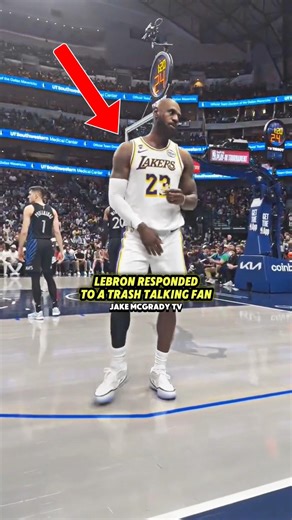 LeBron Responds to Trash Talking Fan 😳