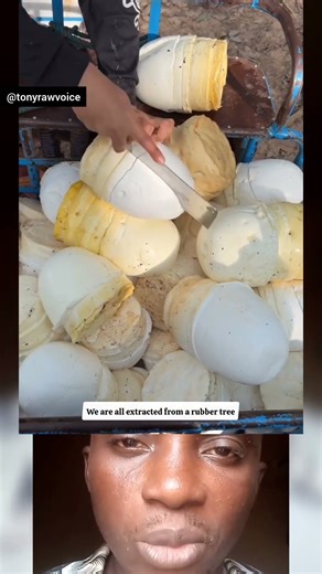 How Rubber Products are produced from Rubber 🌲 #rubber #manufacturing #didyouknow #producer #shorts