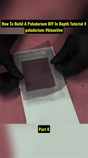 Terrarium Designs on TikTok