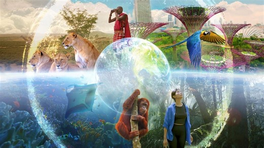 Shared Planet: Cities