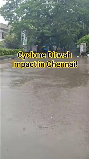 Cyclone Ditwah Chennai Update 🌧️ | Heavy Rainfall Conditions in Tamil Nadu | Live Chennai Weather