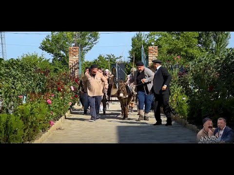 "მიხო და მარო"; 176-ე სერია-კომედიური სერიალი; პაატა გულიაშვილი-Paata guliashvili