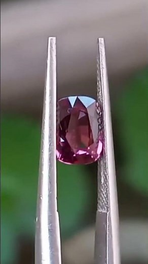 💖 Stunning Dark Pink Gemstone Close-Up | Real Ceylon Sapphire & Ruby Magic 🇱🇰