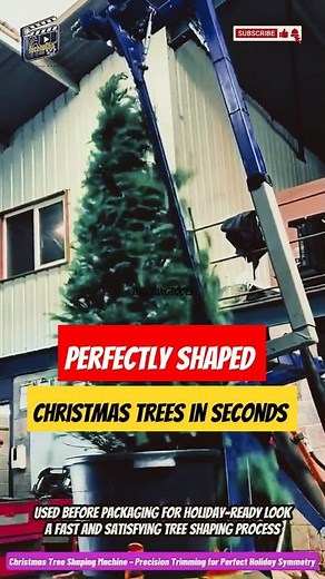 Christmas Tree Shaping Machine – Precision Trimming for Perfect Holiday Symmetry