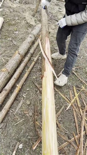 Outdoor Wood Processing: Easy Methods to Remove Bark