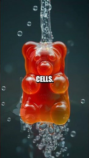 Osmosis in Action: A Gummy Bear Adventure