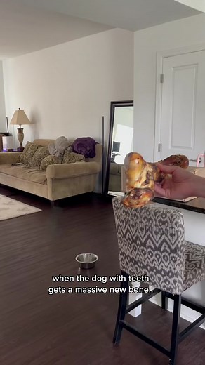 Rewarding Toothless Jax Without Teeth | Dog Treats for Golden Retrievers