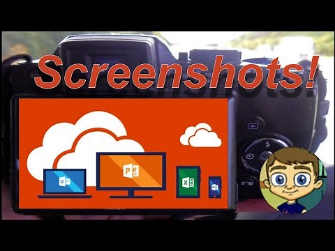 Using the Screenshot Tool in Word, PowerPoint and Excel