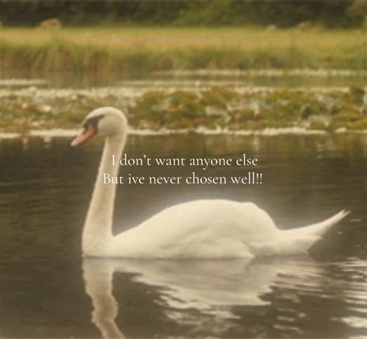 Esha Tewari's Latest Album: A Deep Dive