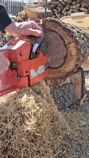 Buying time... #woodworking #woodscraft #wood #walnut #log #craft #diy #carving #process