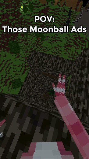 moonball ads be like.. #animalblocks #dreamsmp #vr #minecraft #tutorial #mcyt #funny #hypixel