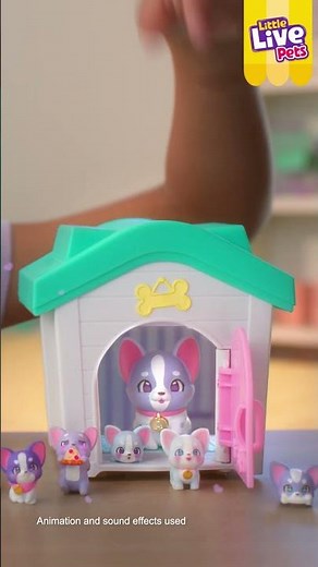 LITTLE LIVE PETS I MAMA SURPRISE FAMILIES YOUTUBE SHORTS I 6