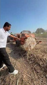 ये सिर्फ़ घास नहीं, चलता-फिरता पैसा है! 😲🌾💰 #indianfarmer #shorts