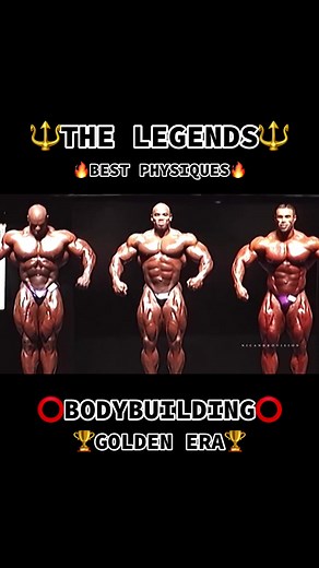 Wolfbodybuilding no TikTok