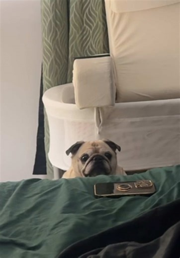 Nick Bozich (@nickbozich)’s videos with Bloopin - Eddie EWI