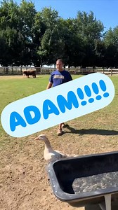 12K views · 32K reactions |  Throwback to when Mike found one of the...