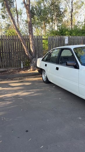 Holden Commodore V8 Engine Sound and Burnouts Showcase