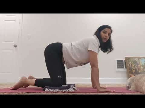 Cat Cow Pose - Yoga