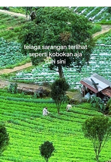 Menikmati Keindahan Telaga Sarangan dari Ketinggian