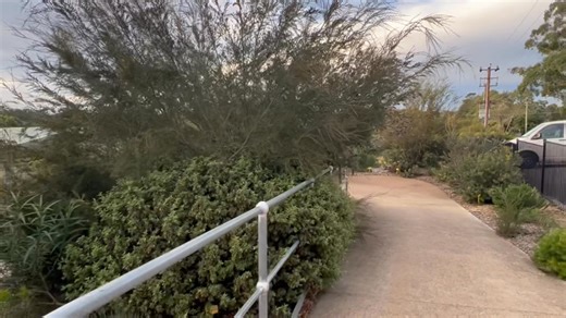 21K views · 583 reactions | This week on Gardening Australia we are...