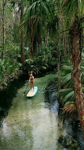 Deep forest calm🌴💚🫧 #peaceful #clearwater #river #swimming #forestbathing #paddleboarding #getaway #earth #forest #NatureTherapy #naturelovers #asmr #travelwithme #explore #NaturalBeauty #AdventureAwaits #florida | Lakewet