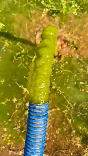 151K views · 3.9K reactions | Parte 2 da piscina de concreto 裂欄冀 E ai gostou do resultado ?? Comenta ai #piscina #satisfatorio #instareels #satisfying #satisfação #satisfyingvideos #satisfy #satisfaction #piscinas #limpeza #viral #reelsviral #instavideo #instastory #reels | Rhuan Felix | Facebook