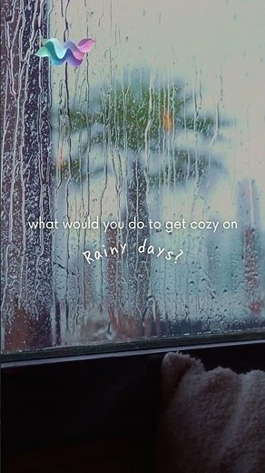 🌧Rainy Day Cozy Reset: Rain on Window for Sleep & Focus (No Music)🌧 #shorts
